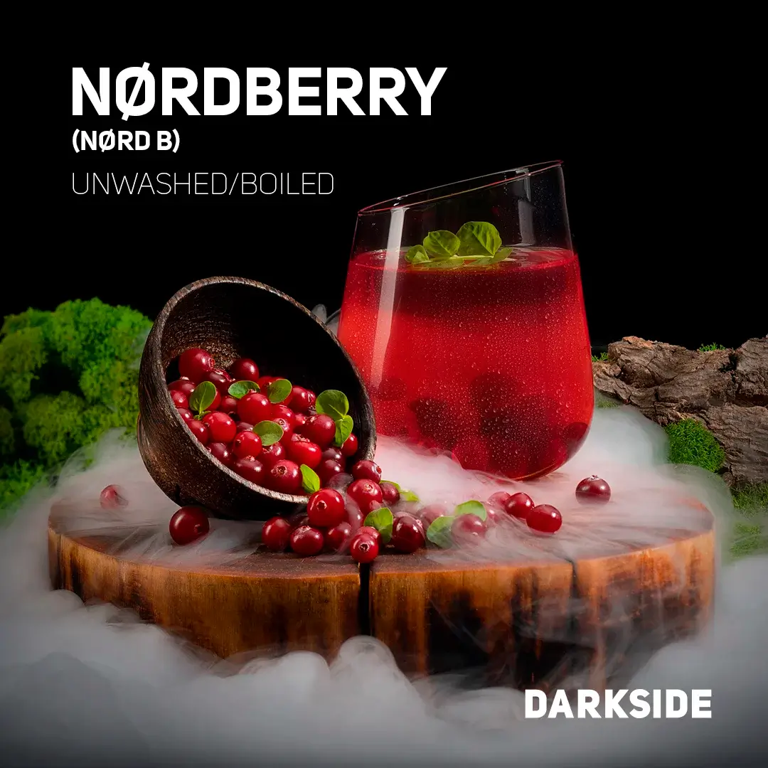 Darkside Tabak Core NORD B 100g